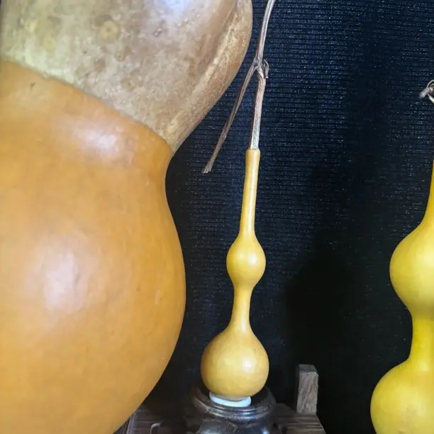 直播间专属链接 切勿乱拍