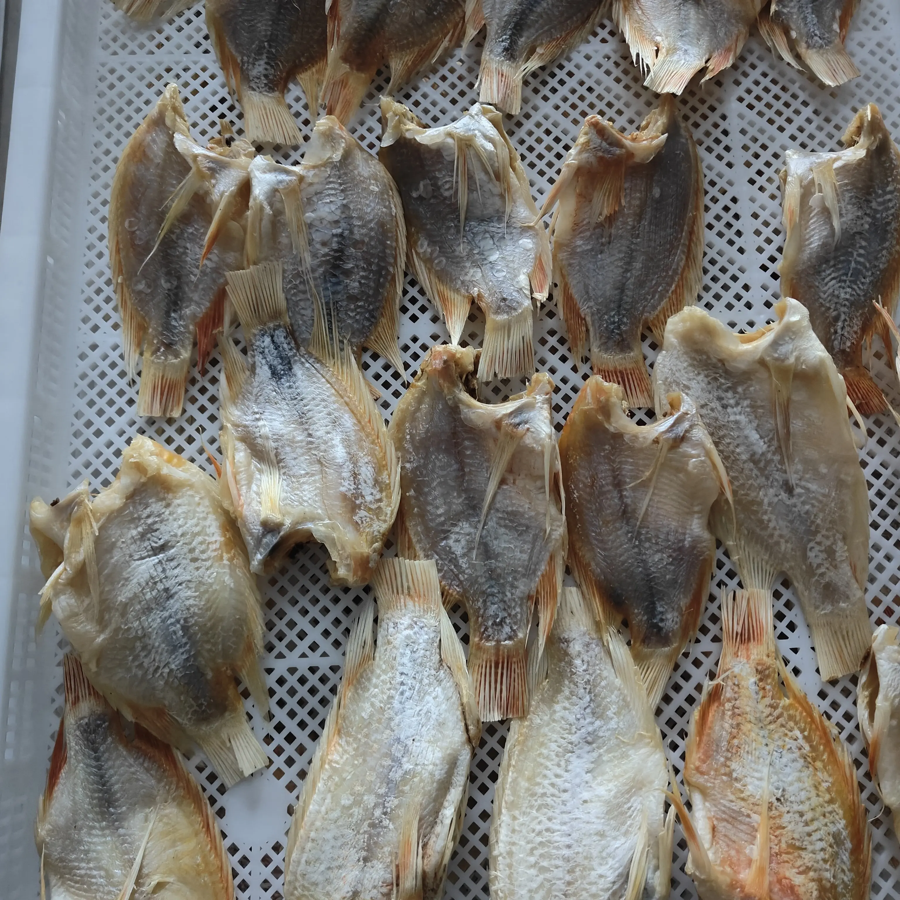 新鲜红三鱼干顺丰京东包邮海产干货