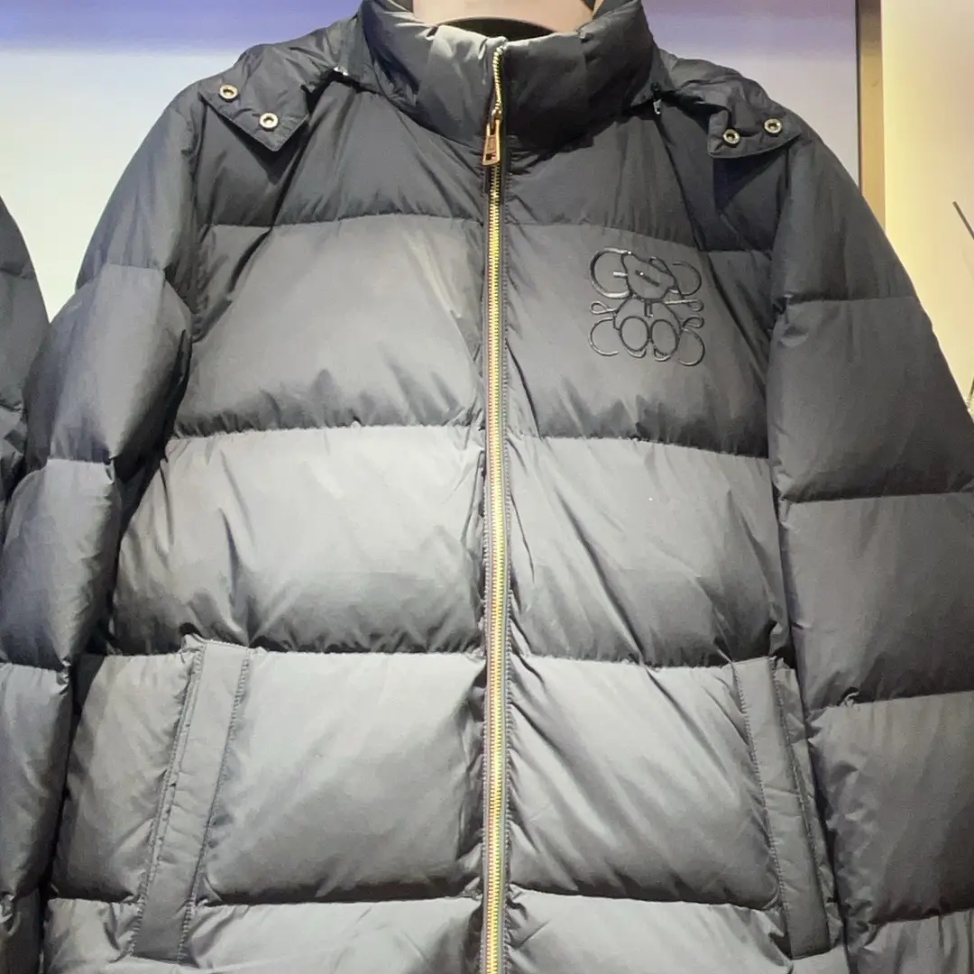 RaidyBoer男士冬季轻奢时尚连帽保暖羽绒服