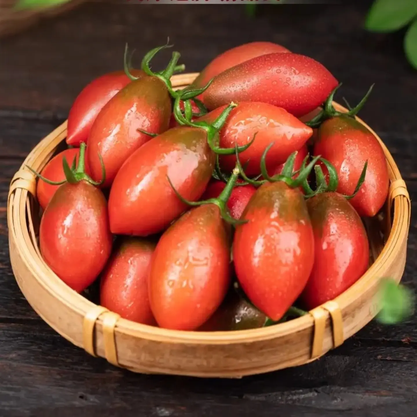 紫弹头小番茄新鲜采摘水果酸甜多汁应季现摘