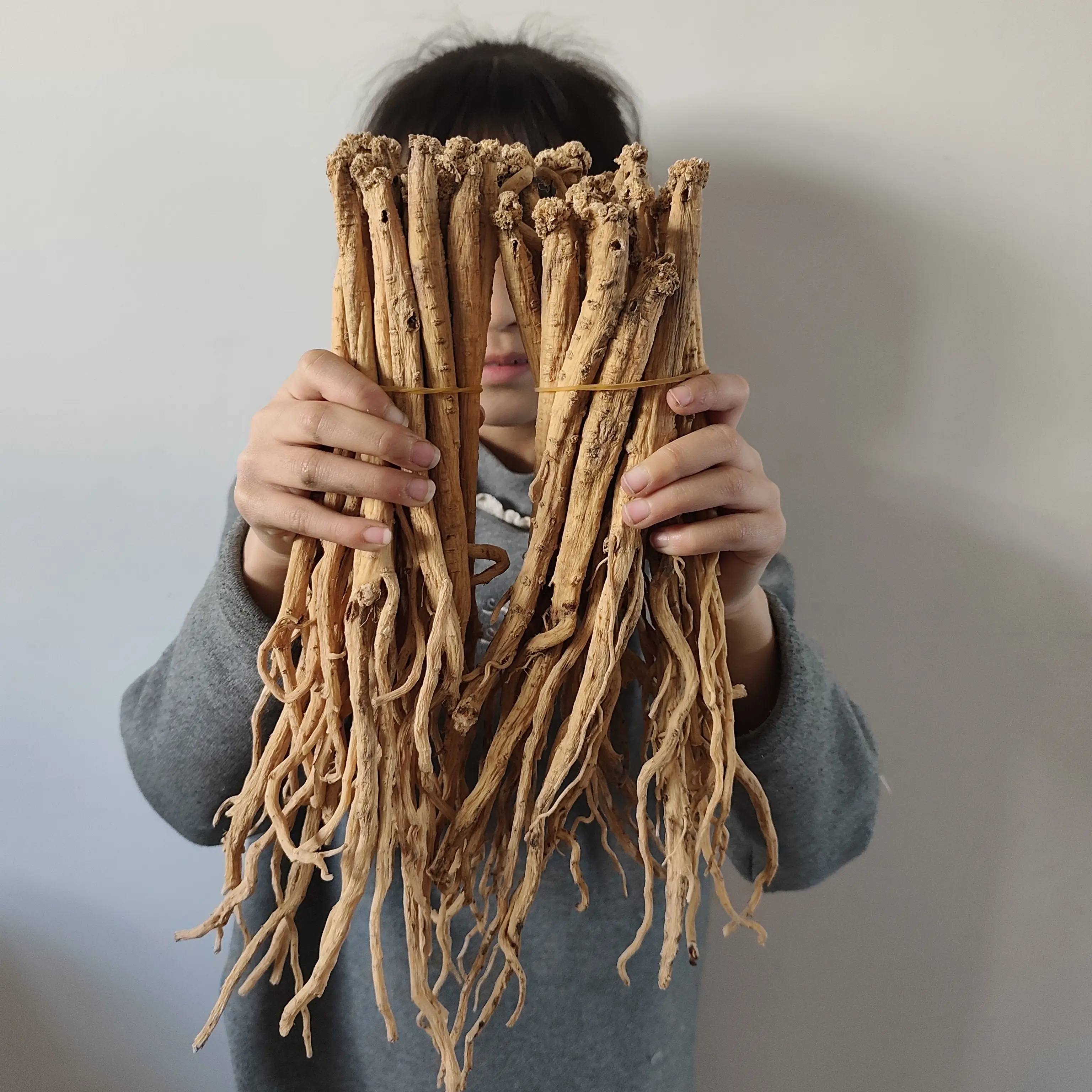 甘肃农户自家种植白条党参无硫干货可用于泡水煲汤滋补养生