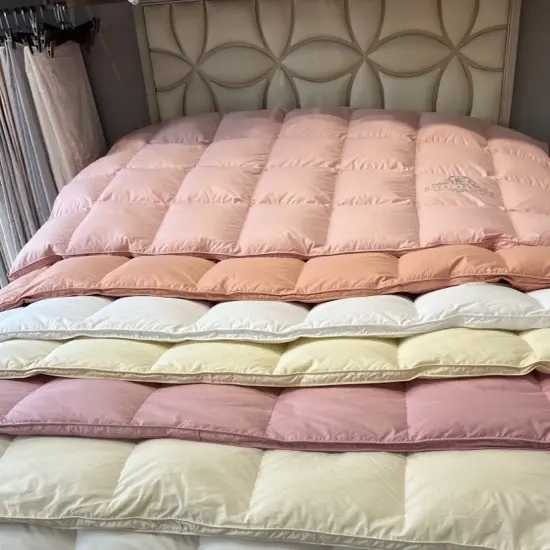 断码轻奢大白鹅四季被冬被特厚(送手提袋包包)