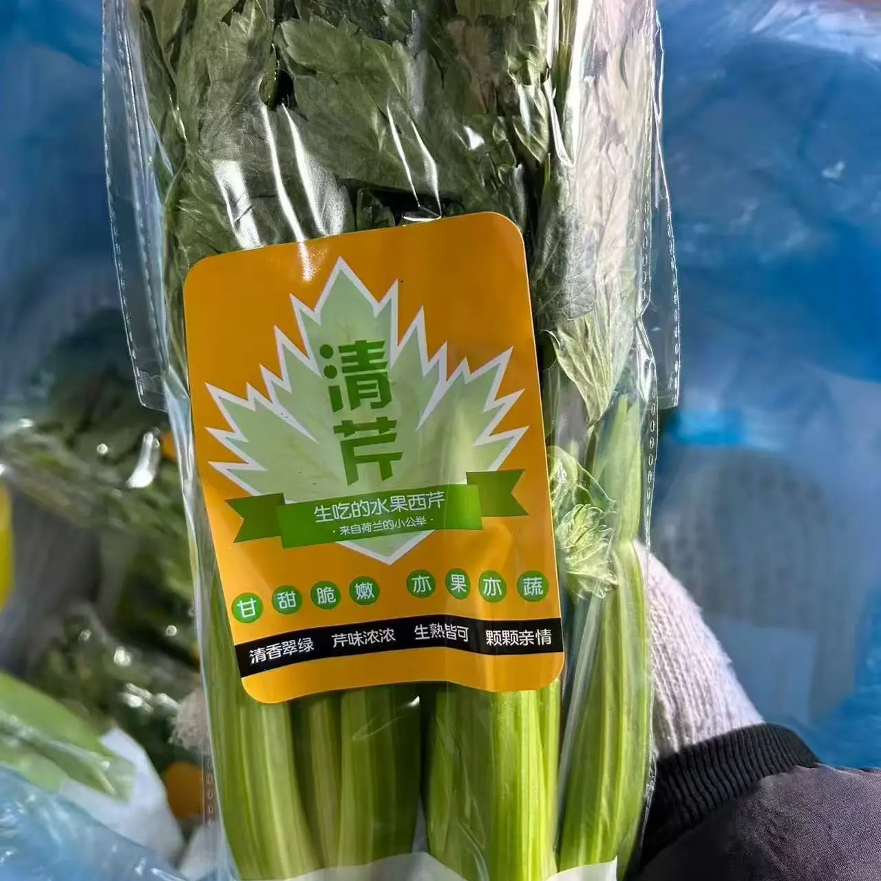 新鲜水果清芹可生吃榨汁当季蔬菜包邮