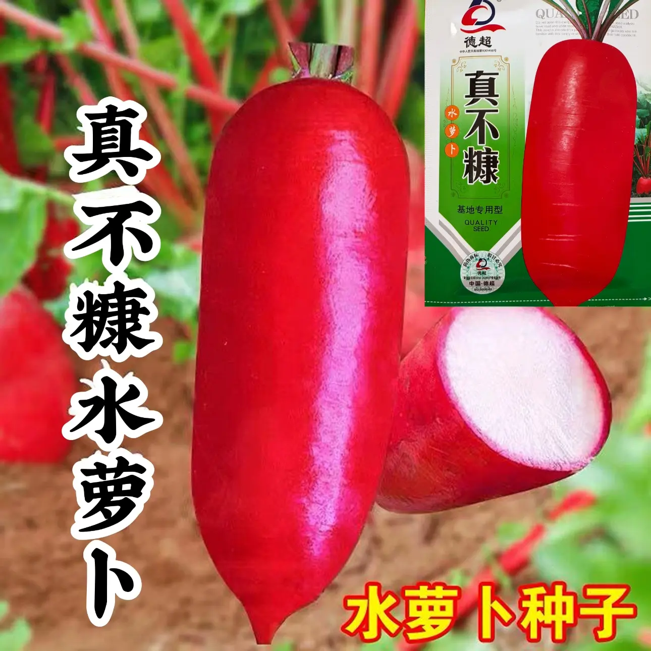 真不糠水萝卜种子清甜脆嫩爽口多汁春秋种植早熟不爱糠心