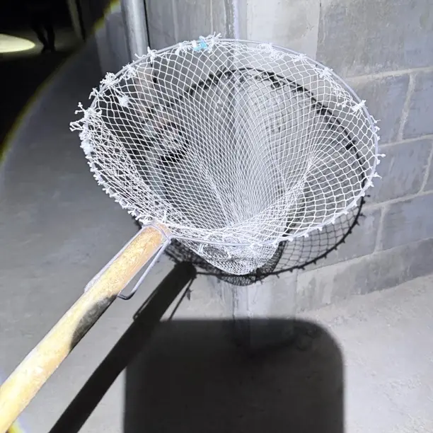 不锈钢伸缩杆防挂网捞虾网兜全套实用渔具