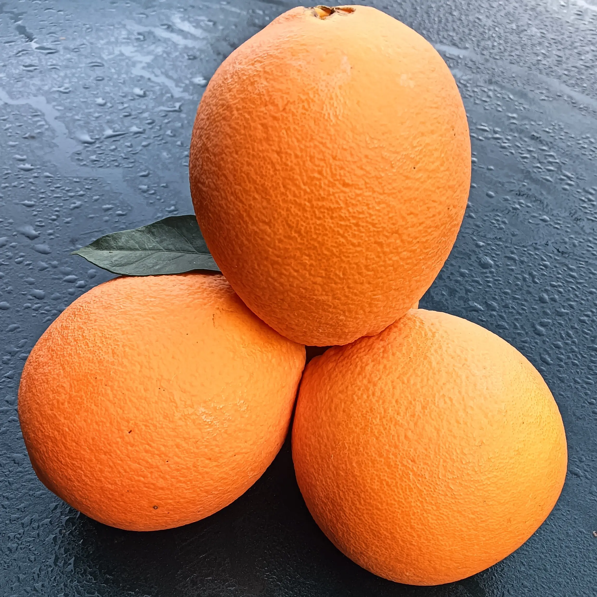 自家果园现摘现发赣南脐橙，坏果包赔48小时发货