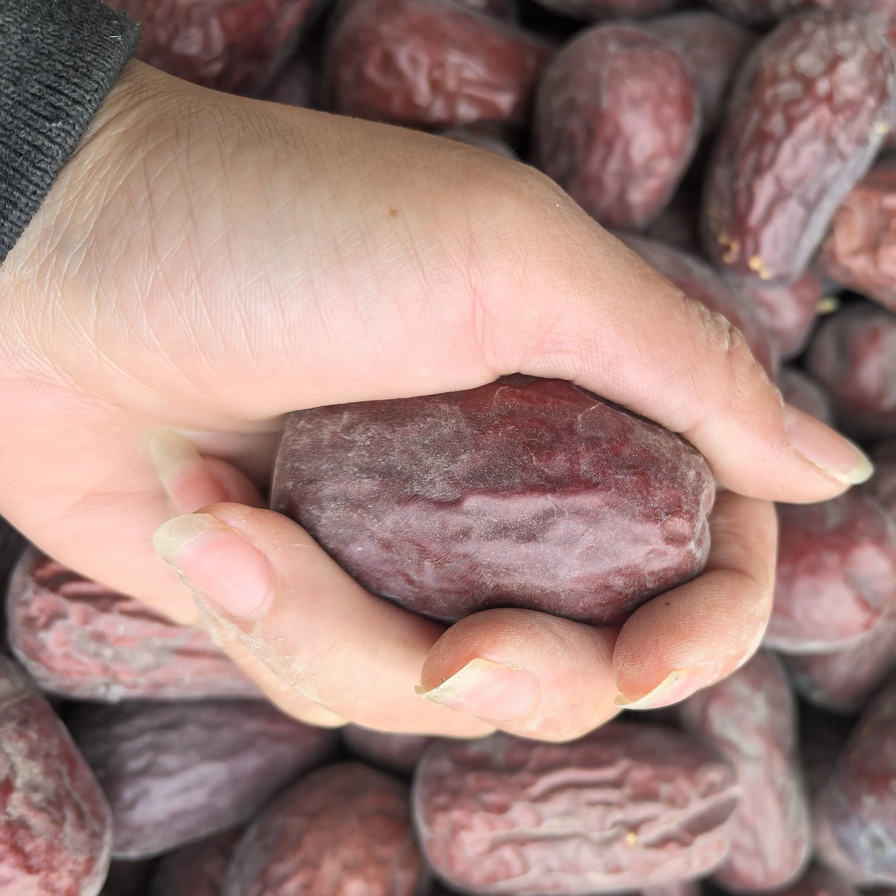 和田大枣原生态未加工未清洗自然吊干枣王红枣包邮（嫌