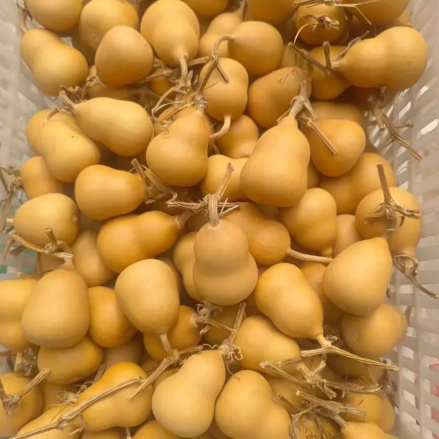 中号八宝小美各种老皮过货包邮专区，满30包邮，不满拍运费