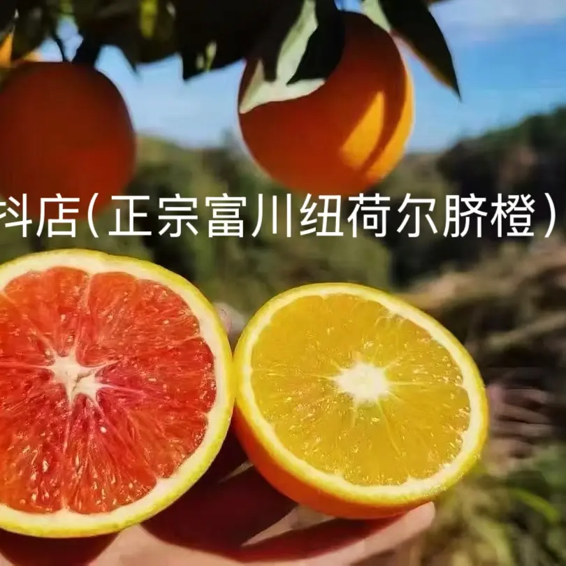 （脐橙红橙混合装普通箱）正宗广西富川脐橙新鲜甜橙子当季产地直发