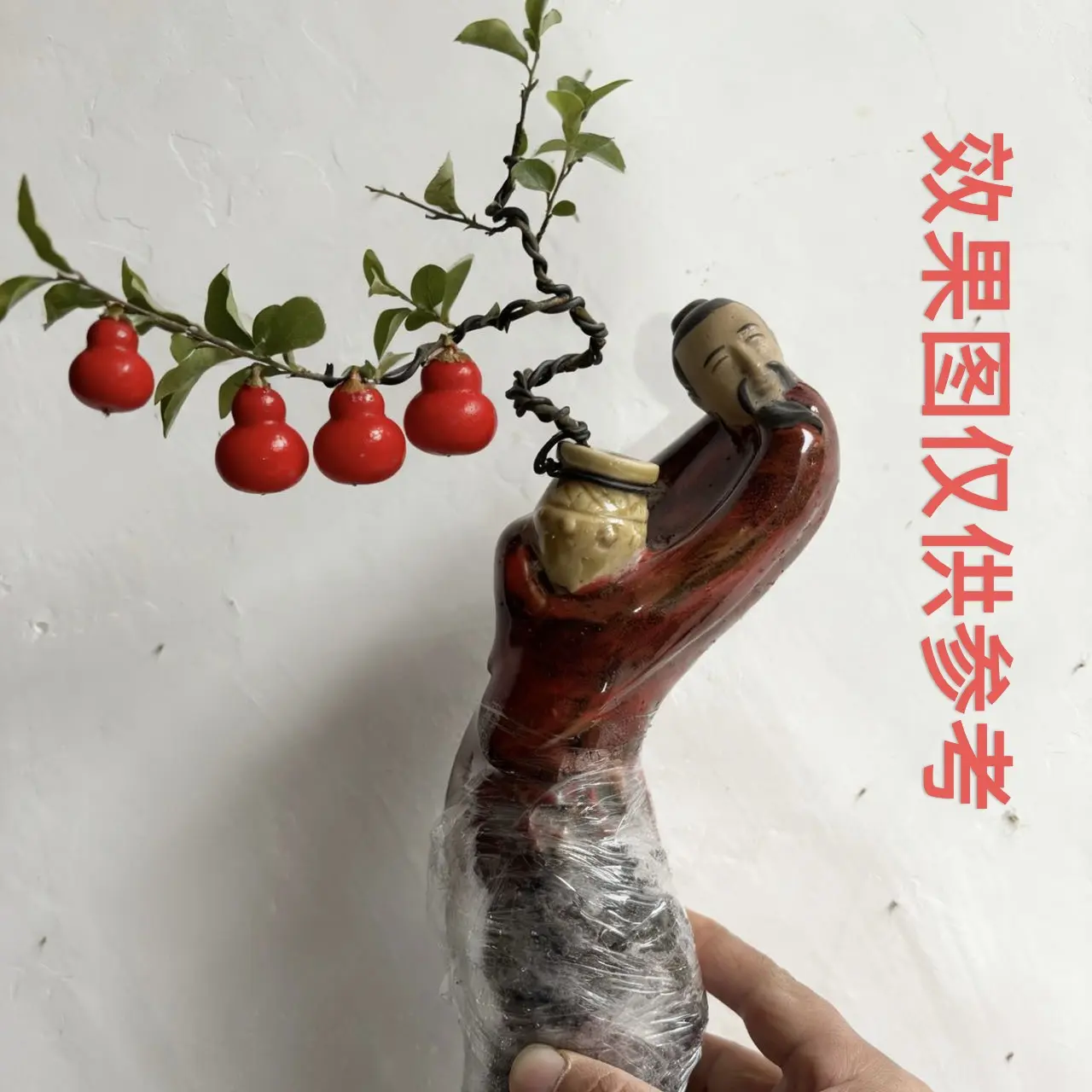 金弹子盆景素材庭院造型绿植盆栽