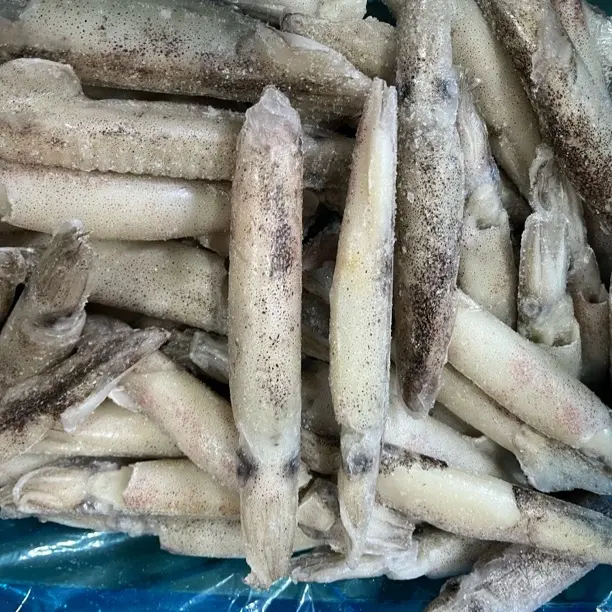 新鲜速冻海捕笔管鱼海兔子籽乌3斤