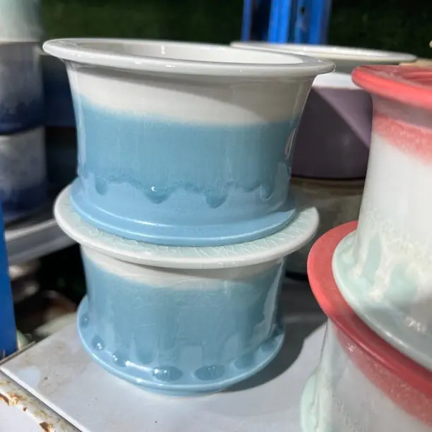 特价多肉花盆 满50发货 口径