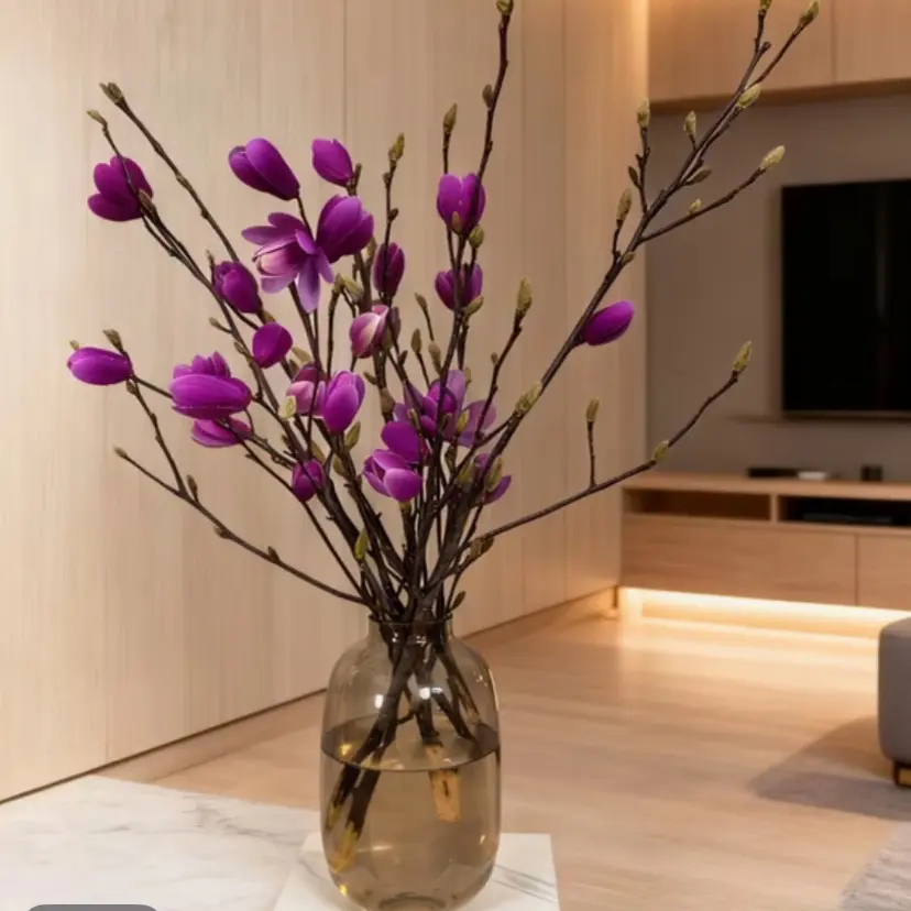 全部花苞水培玉兰鲜切枝带花苞室内浓香耐寒花卉绿植懒人好养活