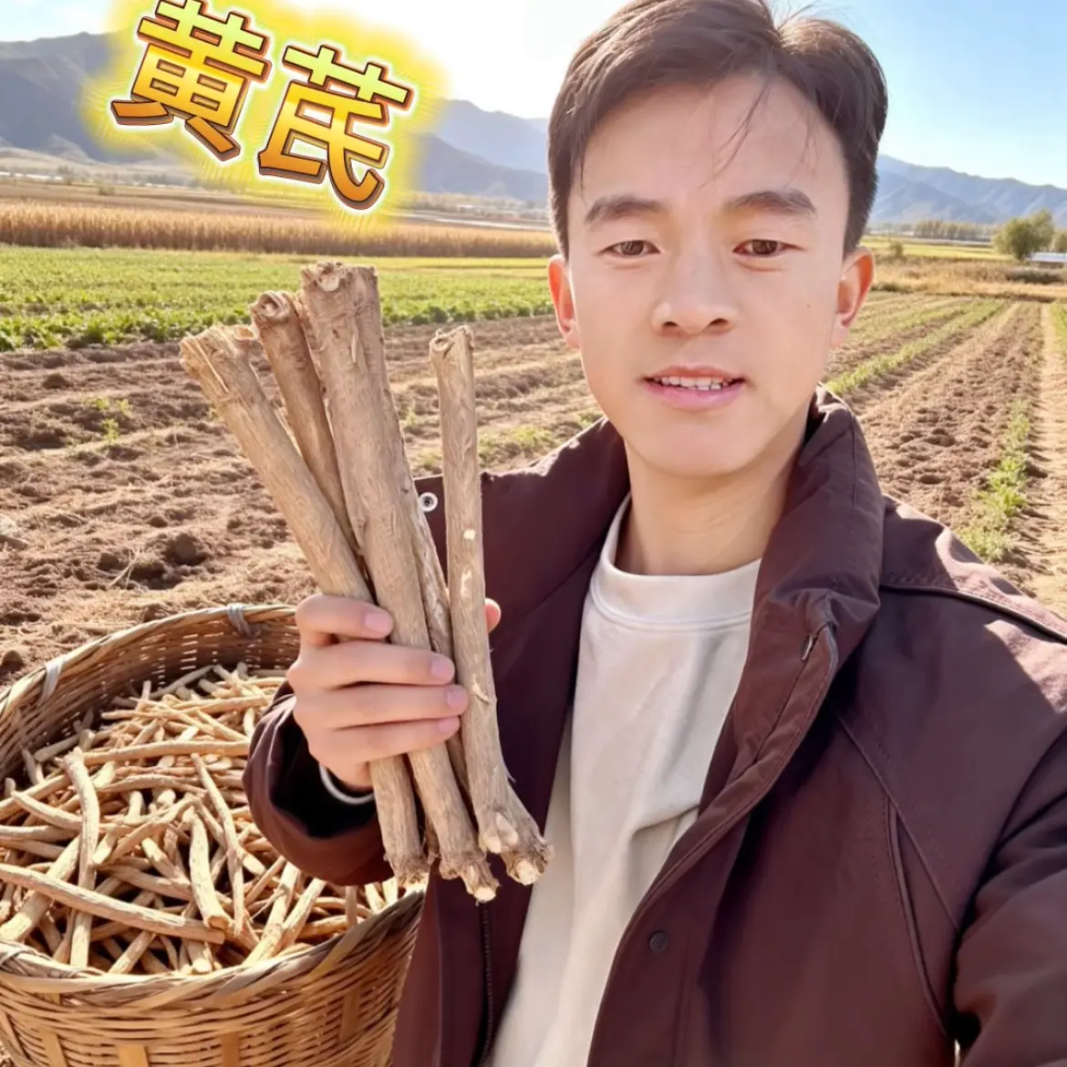 甘肃原产地黄芪大条干货无硫熏滋补养生可煲汤泡水