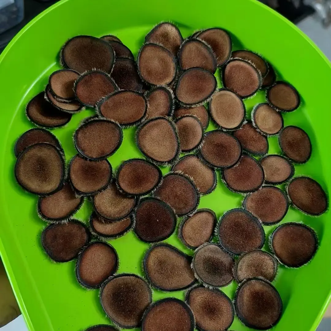 鹿茸片传统滋补养生泡水煲汤泡酒搭配枸杞黑桑葚八种原料组合