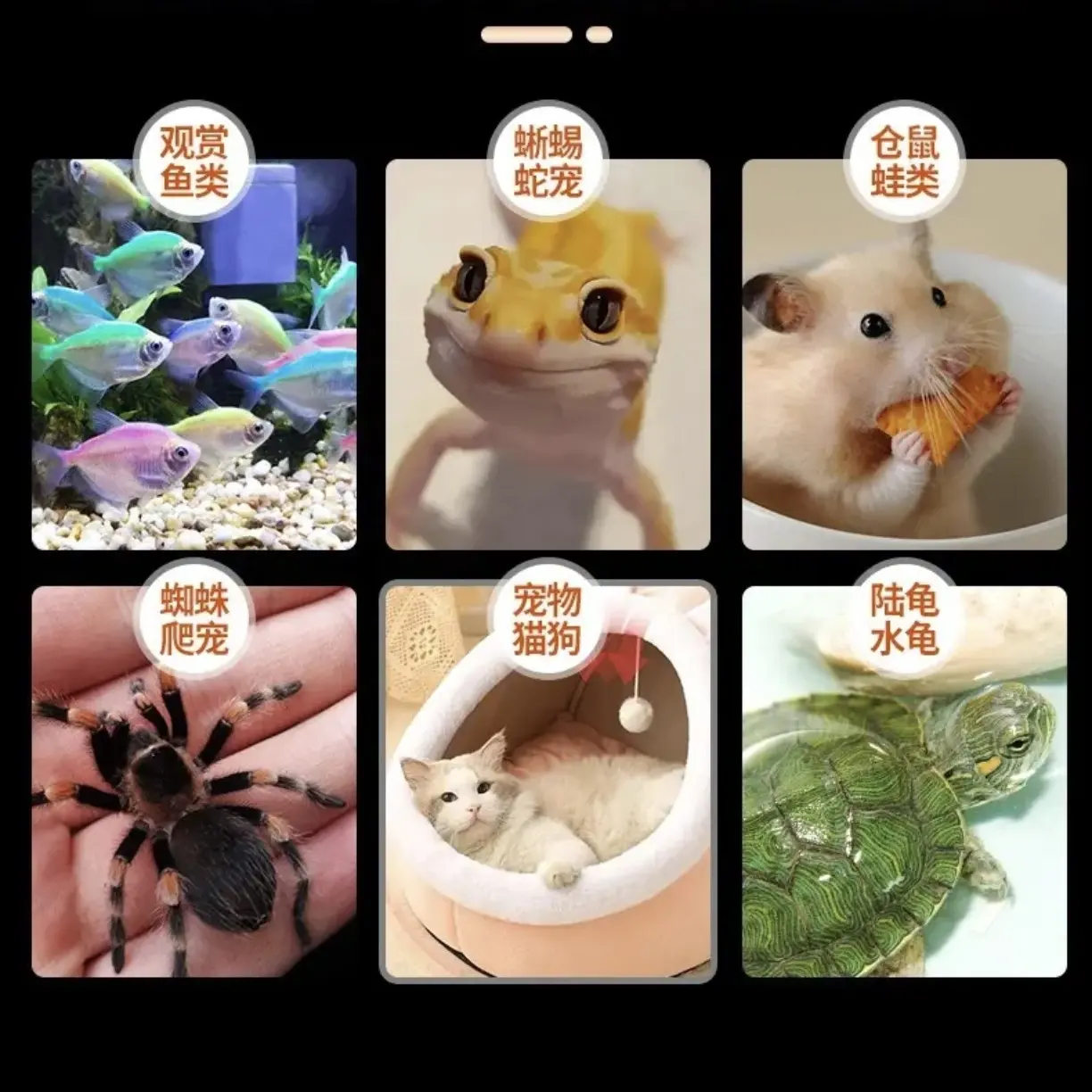 宠物运输发热包48/72/110小时长效保暖观赏鱼爬宠适用