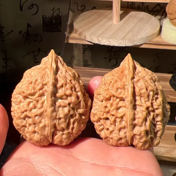文玩铁核桃霸王枪41+名铁树头