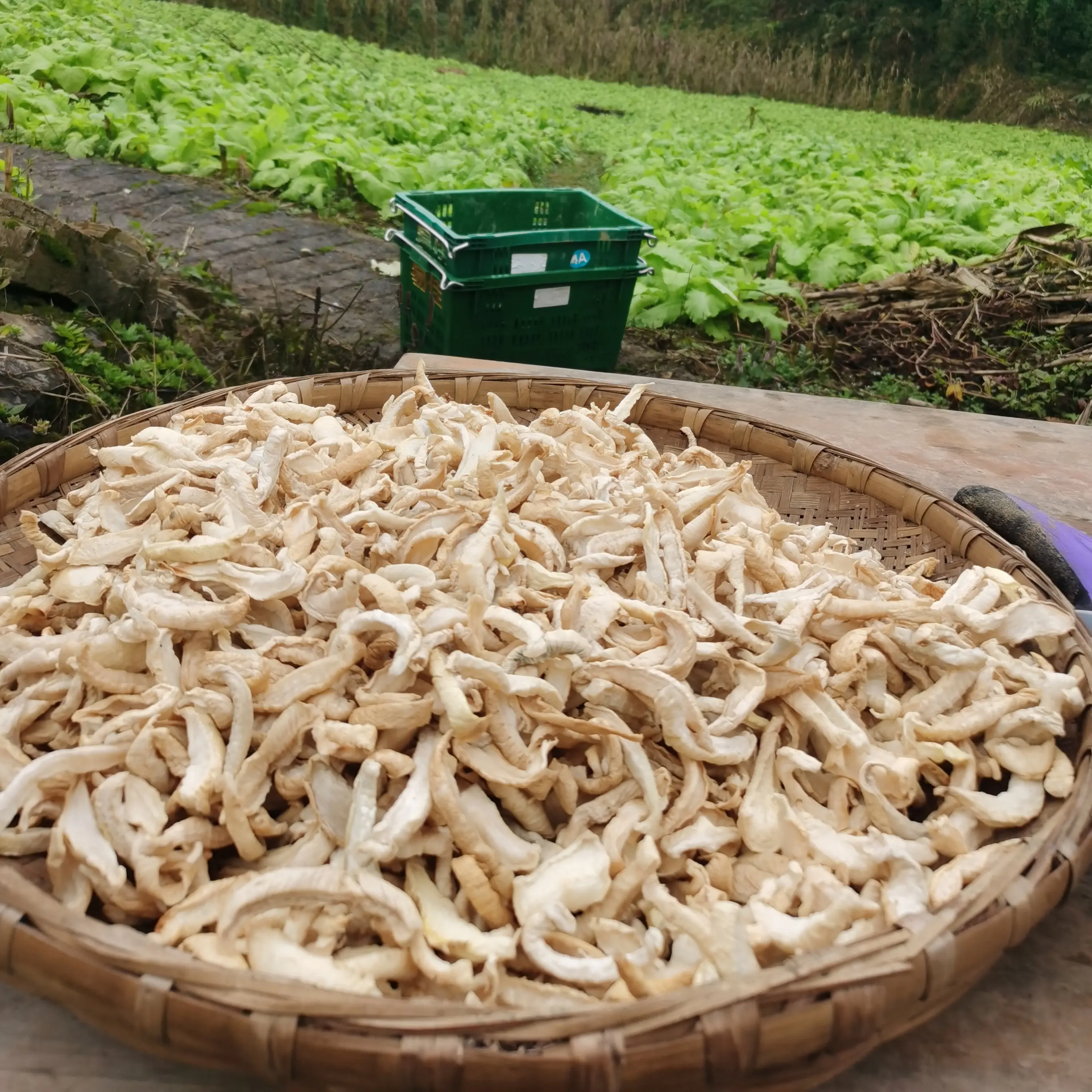 四川仙峰苗族乡高山春不老带皮萝卜干萝卜丁清脆爽口