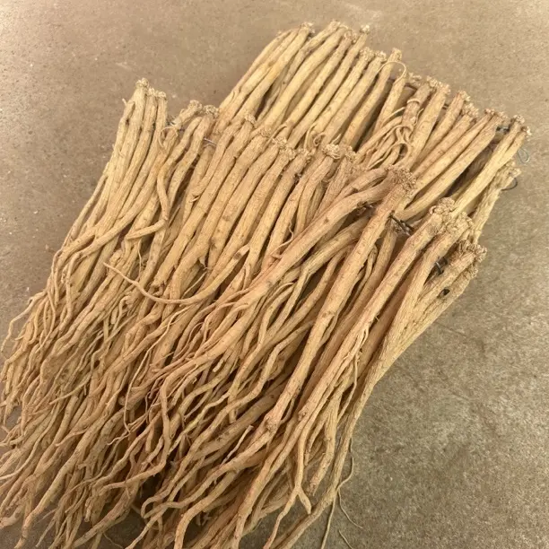 甘肃岷县原产地地新鲜党参大条可泡水煲汤滋补佳品