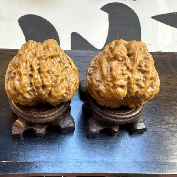 延庆金蝉蛤蟆头老树全品精配打底