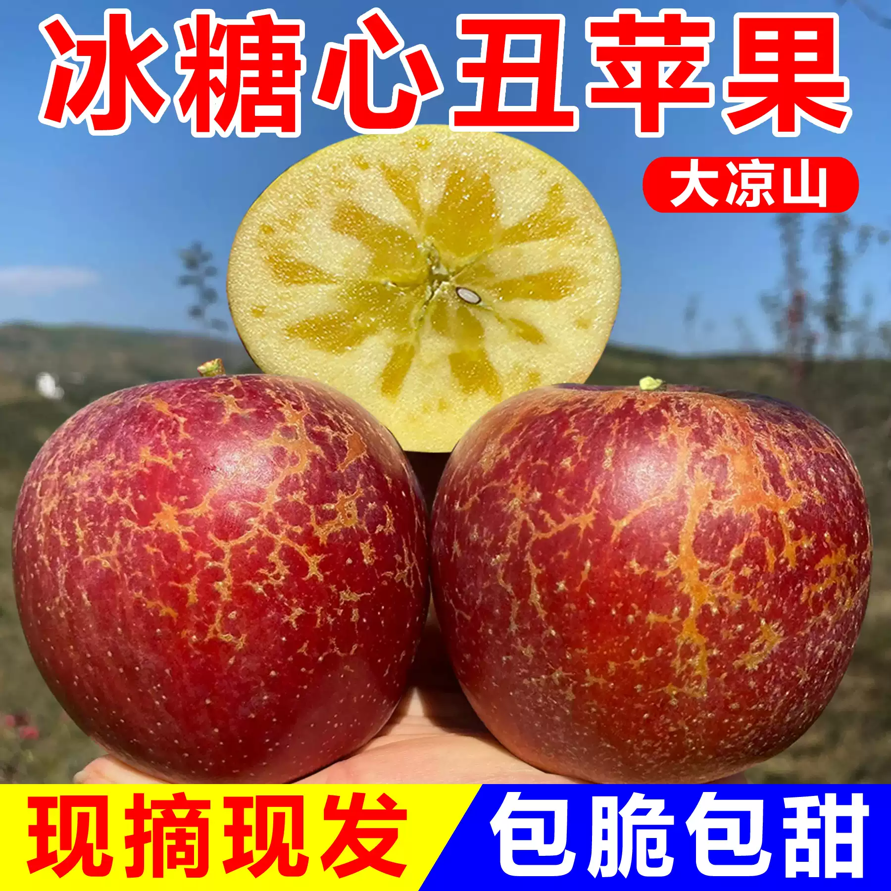 正宗四川大凉山盐源冰糖心丑苹果野生脆甜当季新鲜水果整箱包邮