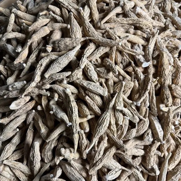 野生深山小叶牛大力黄牛小圆牛可煲汤泡酒的中药材