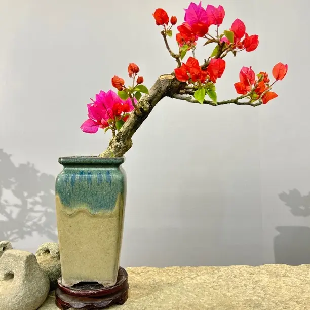 高温陶瓷手工冰裂工艺长方形室内绿植花盆