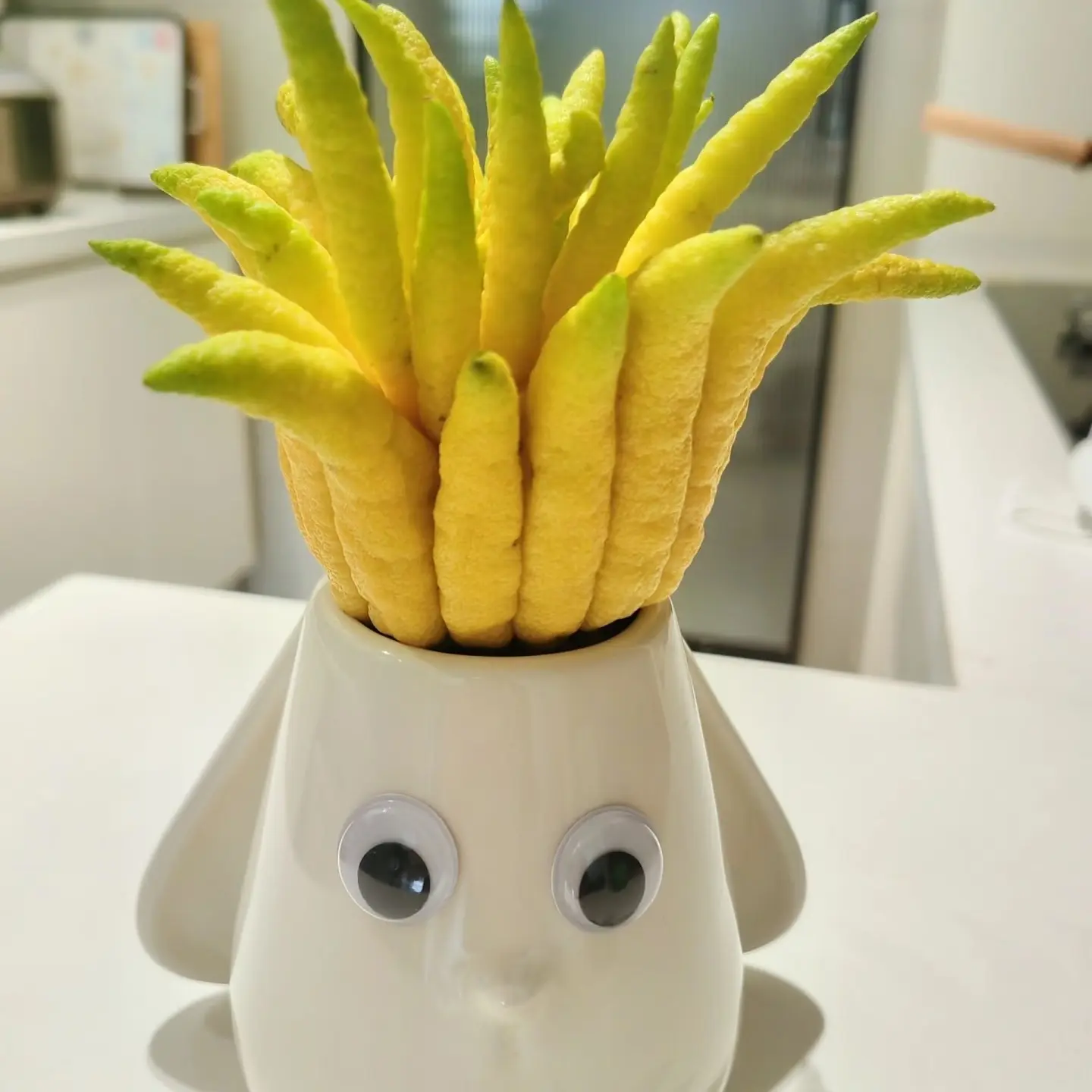 新鲜佛手柑带枝切枝室内水养绿植观赏闻香天然清香水培植物