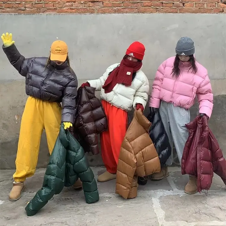 立领常规款极简风短款长袖冬季轻薄薄款洋气