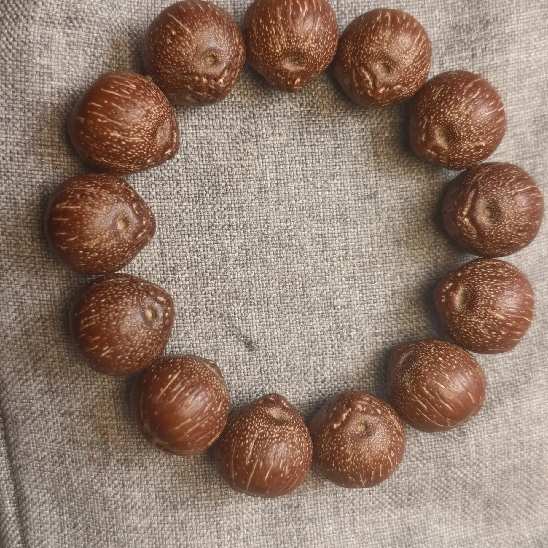 19 mm~20mm左右原皮紫金鼠单圈大尺寸高油高密可DIY手持