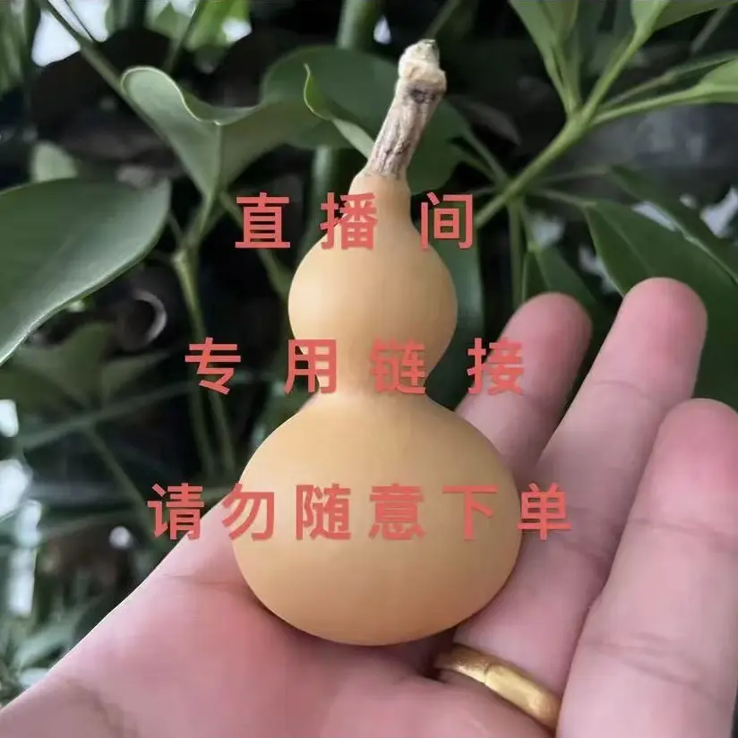多个天然小葫芦手把件【直播间专属一物一拍】