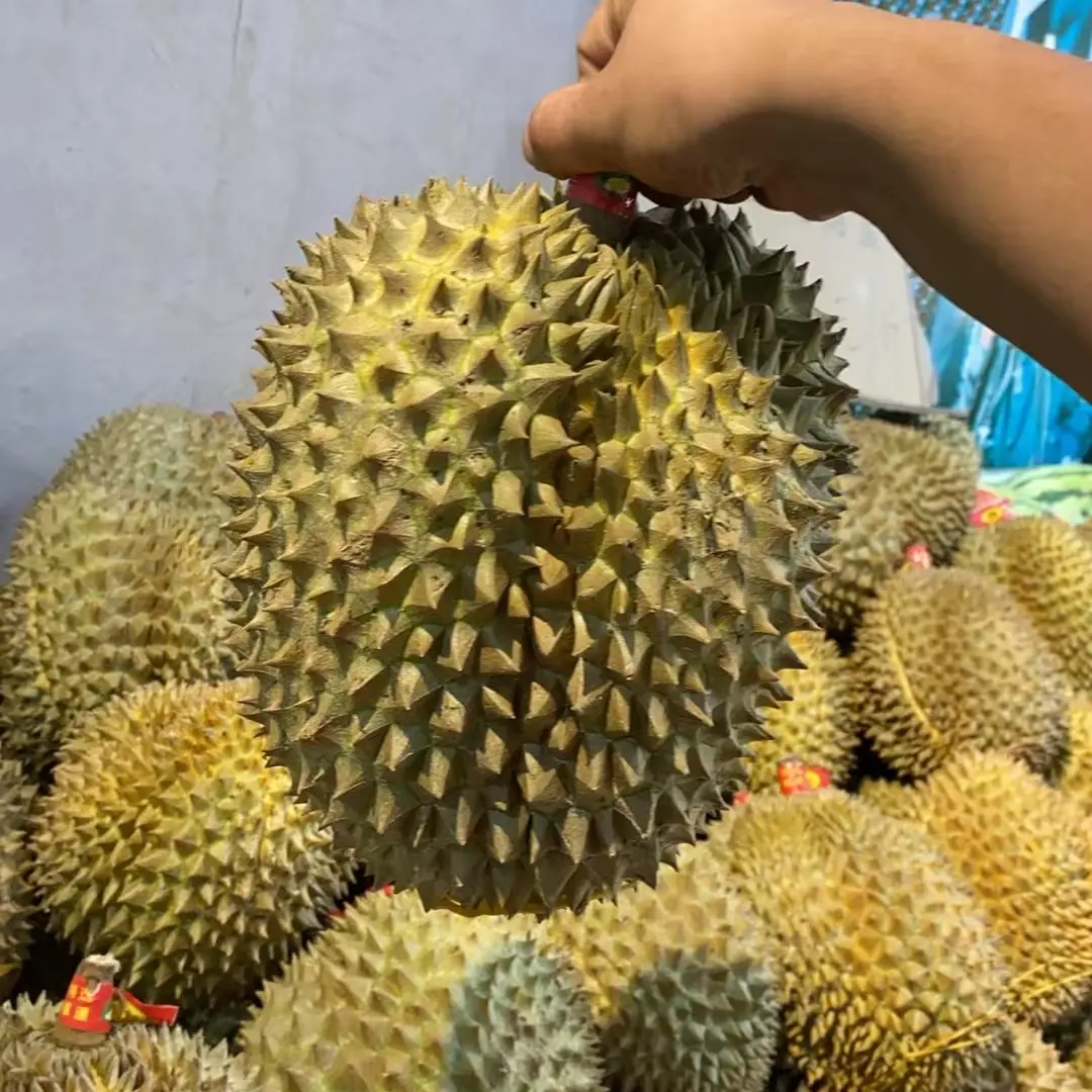 泰国金枕榴莲新鲜热带水果整个带壳鲜果核小肉甜薄皮5.7斤斤扒肉跑腿送货金枕泰国