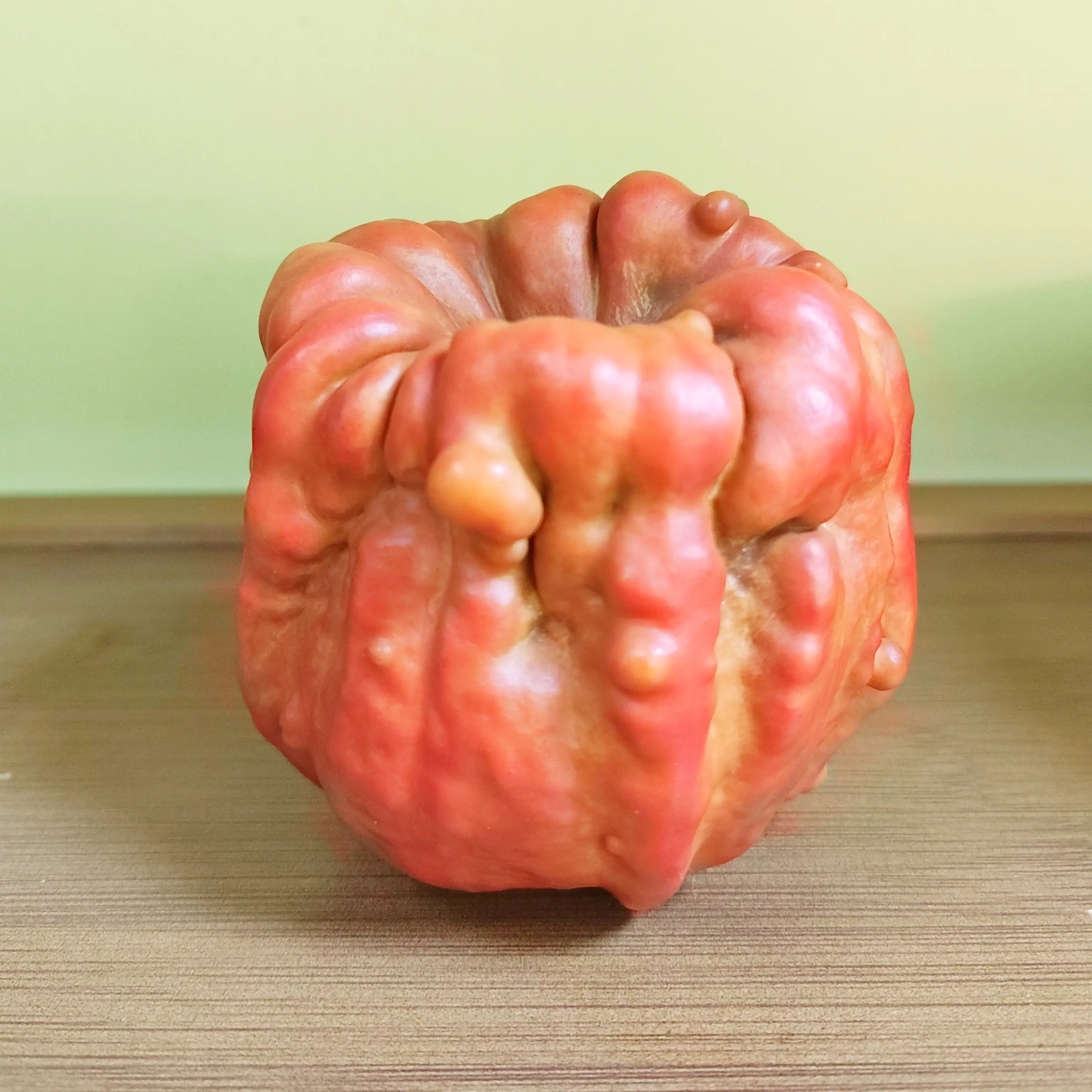 精品天然墨西哥七彩文玩葫芦可作手把件 专属链接 不要乱拍