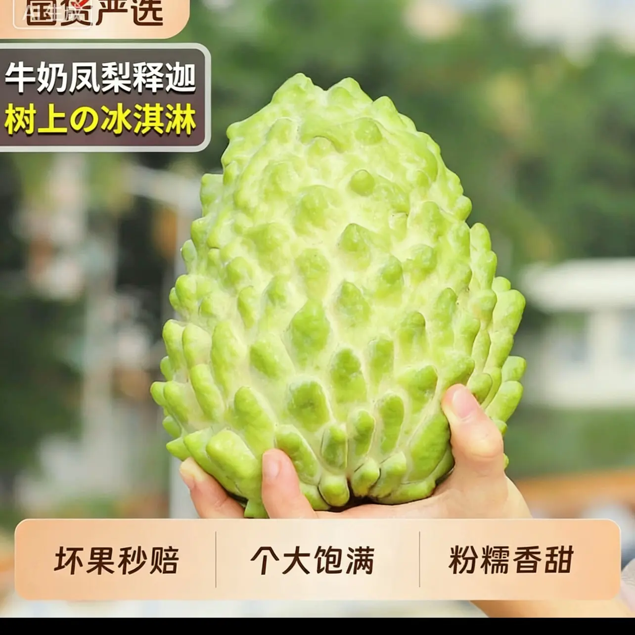 【大果】攀枝花新鲜牛奶凤梨释迦果4斤（单果5-7两）