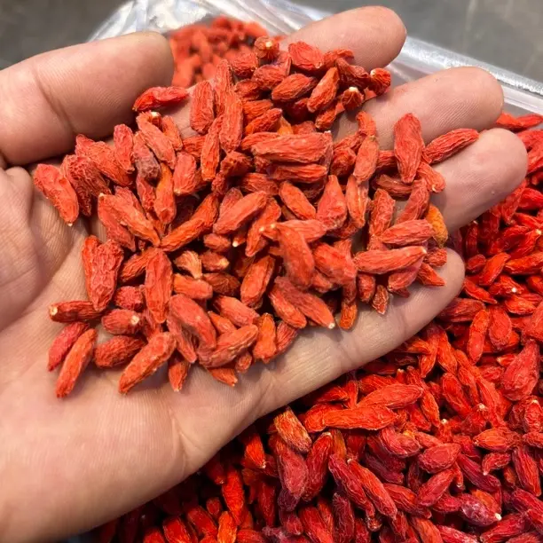 头茬无硫宁夏中宁枸杞大颗粒免洗可泡茶泡酒滋补