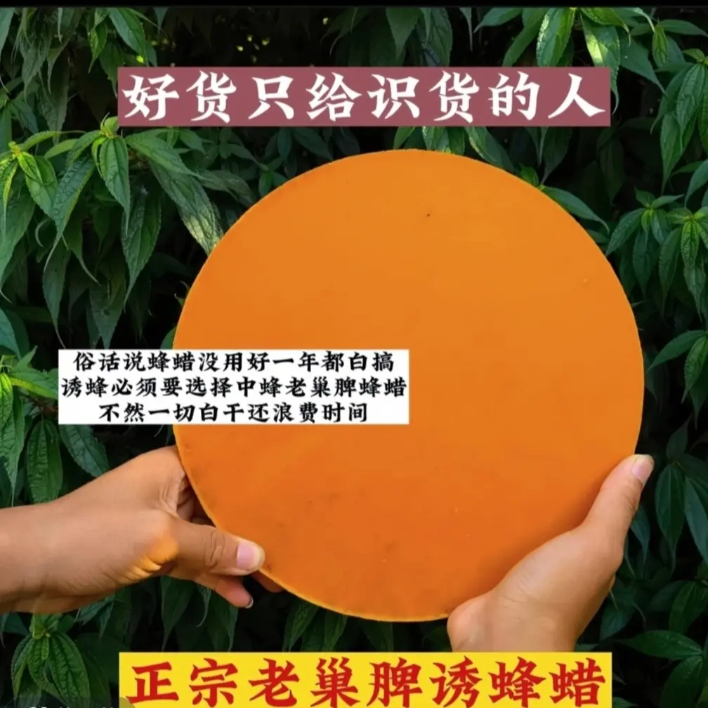 天然清香老巢脾蜂蜡户外诱蜂专用