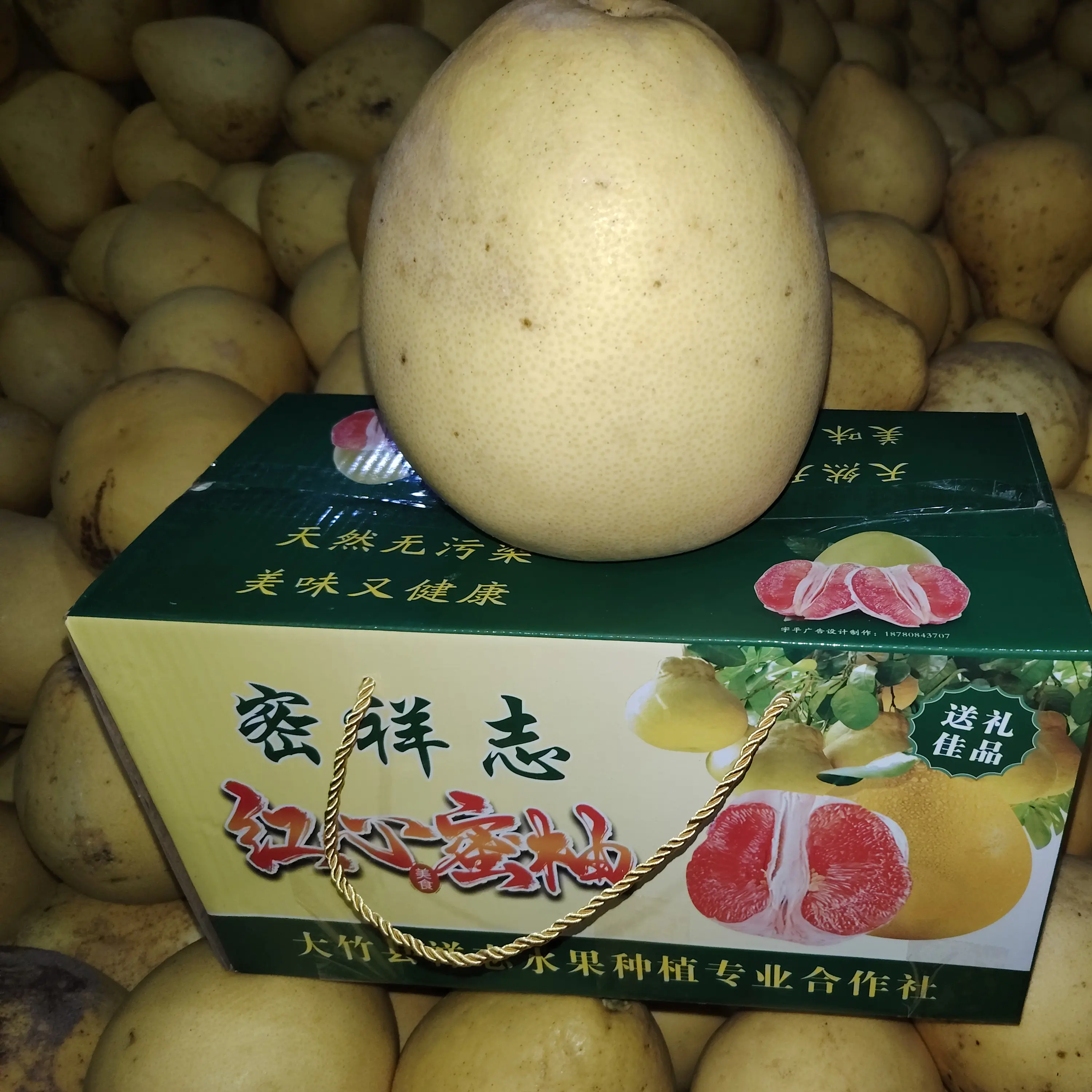 红心蜜柚，正宗广丰马家柚产地直发。