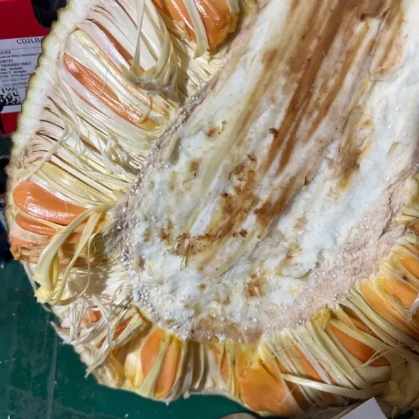 红肉菠萝蜜新鲜香甜当季水果（软糯）