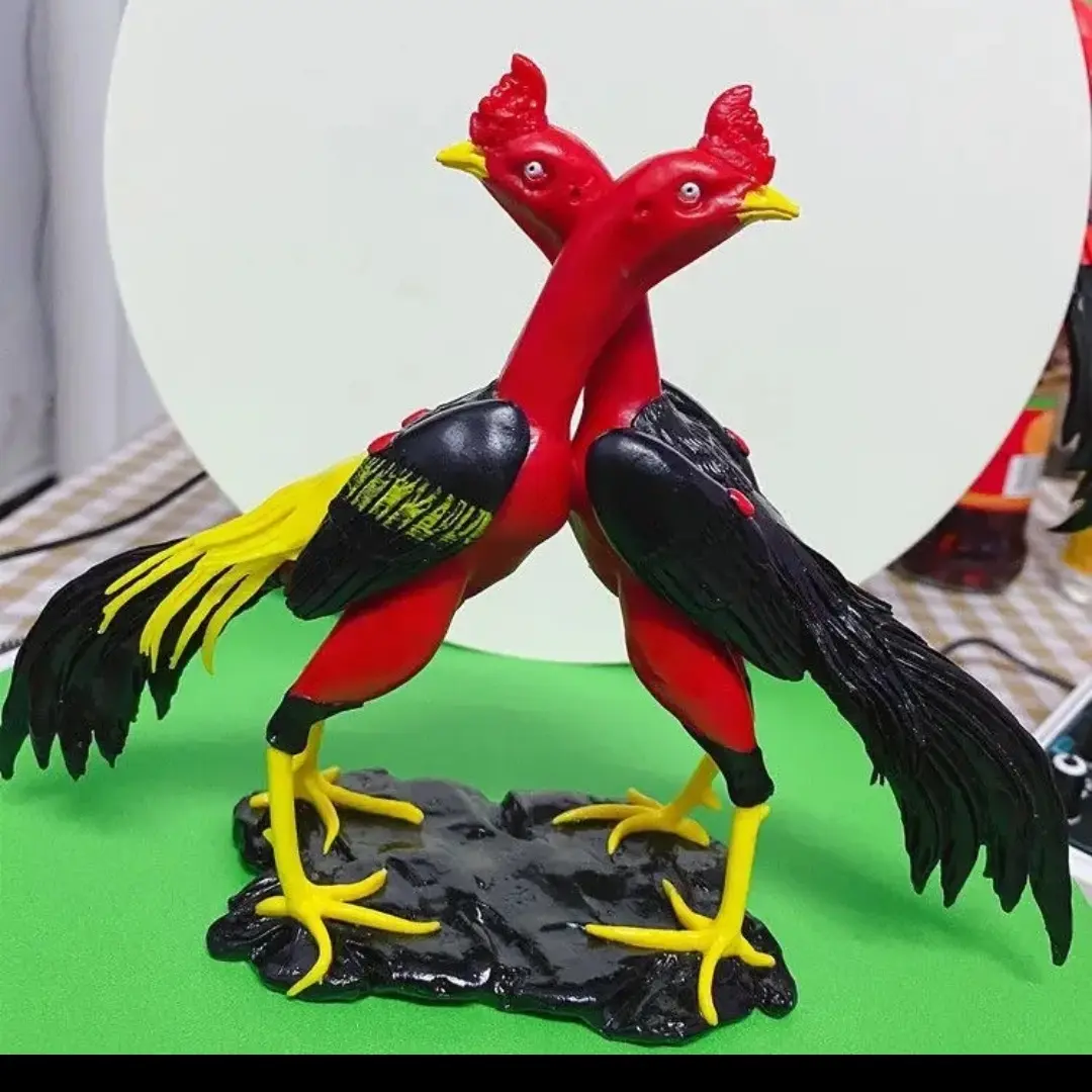 宠物斗鸡活体标本