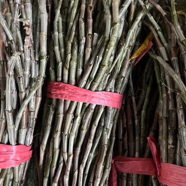 （紫皮、石斛花卉）