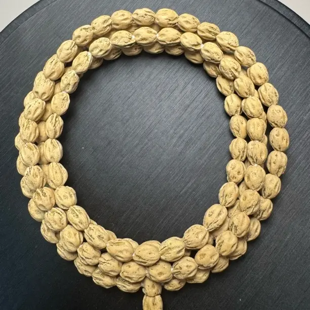 热振高原桩运石坑百香籽