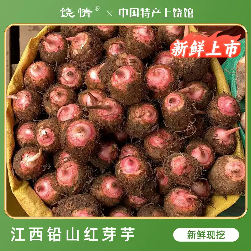 新鲜现挖铅山红芽芋艿粉糯可口农家芋头