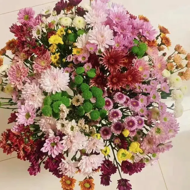 小菊点菜套餐 现采现发品质无敌 0℃以下拍保温棉 受冻不售后！！