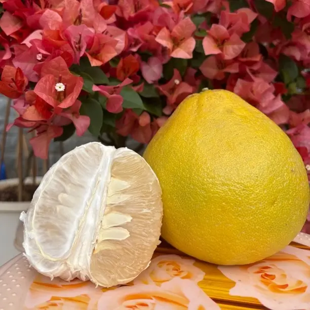 (中果30斤)正宗梅州沙田纯甜无酸新鲜应季产地直发