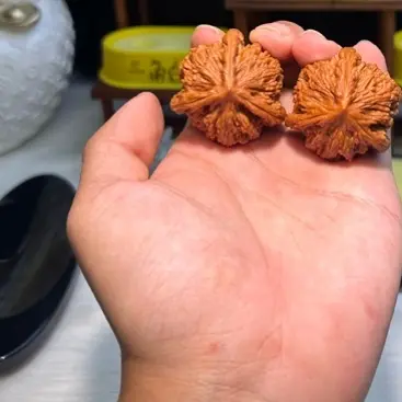【虎头奔】全品42尺