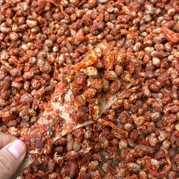 苏北泗洪农家草捂晒干酱豆