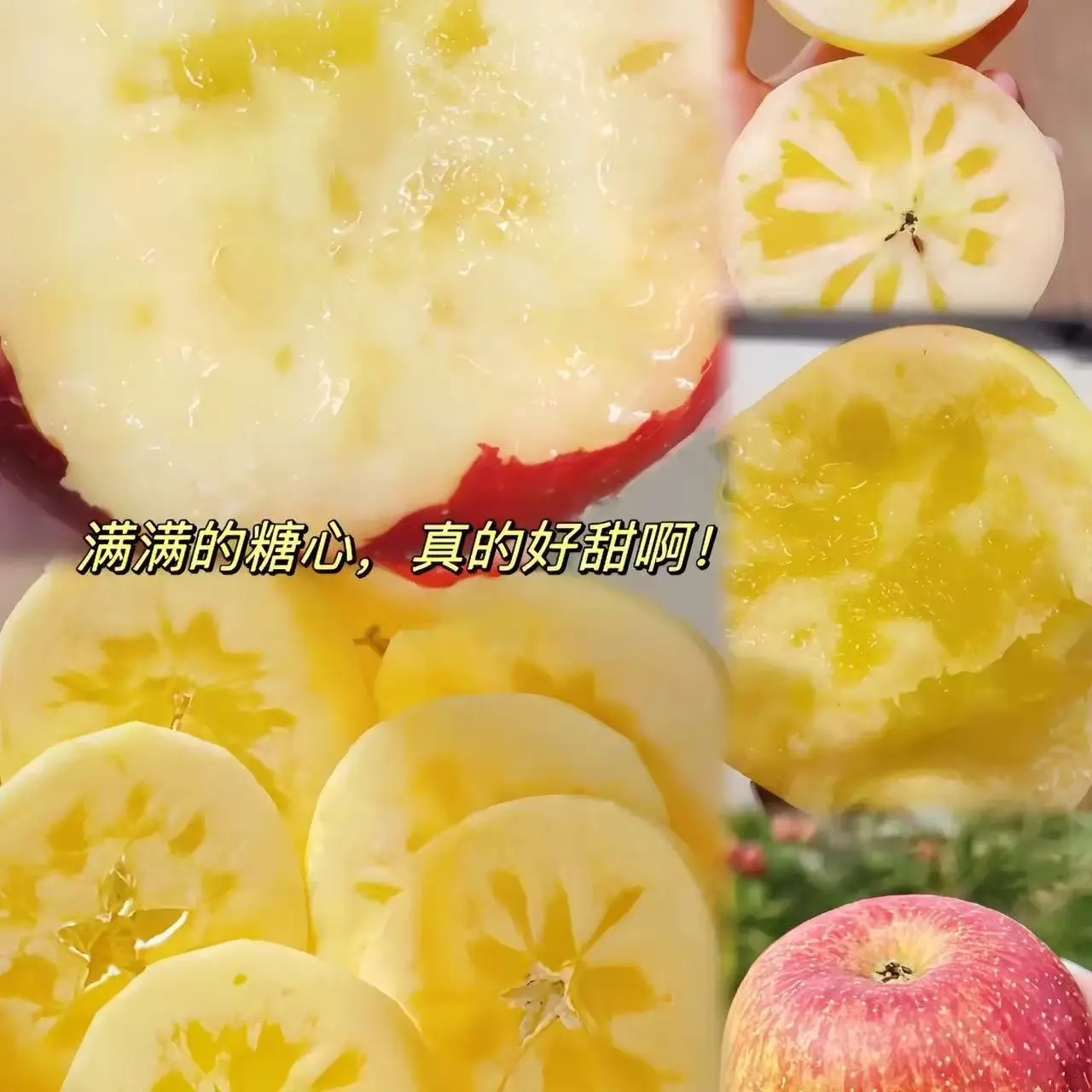 大凉山冰糖心丑苹果带瑕疵果靶伤高次果，不包售后，介意勿拍