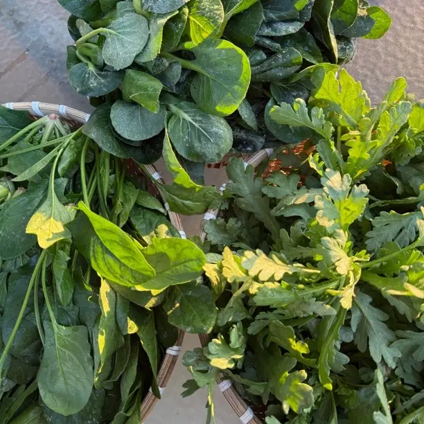 露天霜打当季蔬菜 3斤装