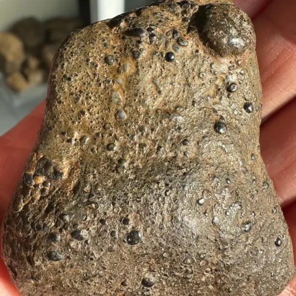 大汶河碳质球粒原石，图片仅供参考，实物直播间下单为准