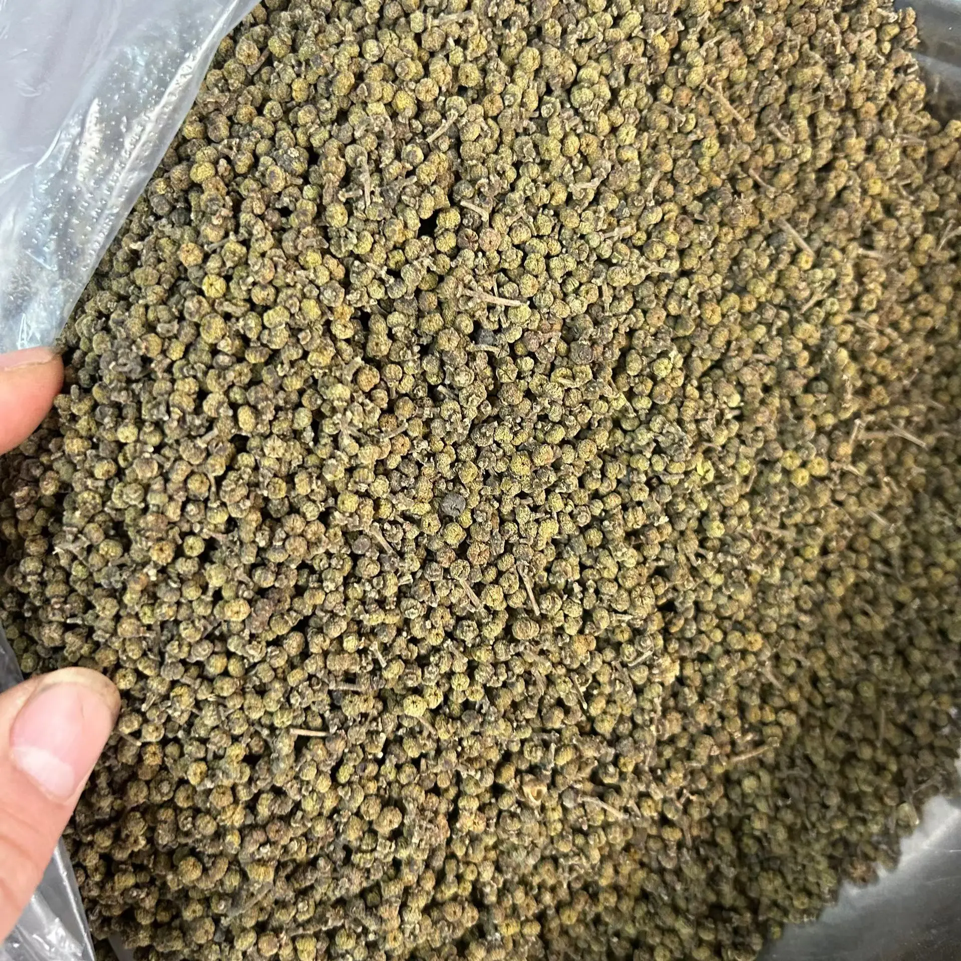 吴茱萸 广西吴茱萸 青吴茱萸吴萸 自然晒干小颗粒 杜仲